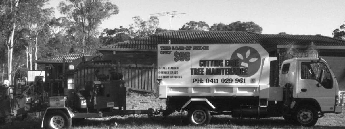 Tree Removal Newcastle