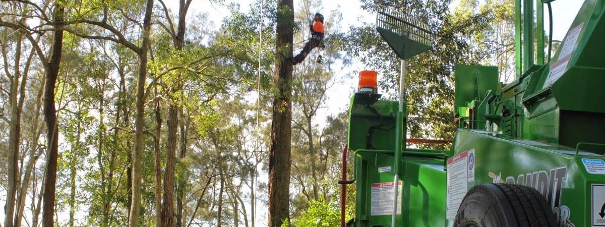 Tree Lopping Newcastle